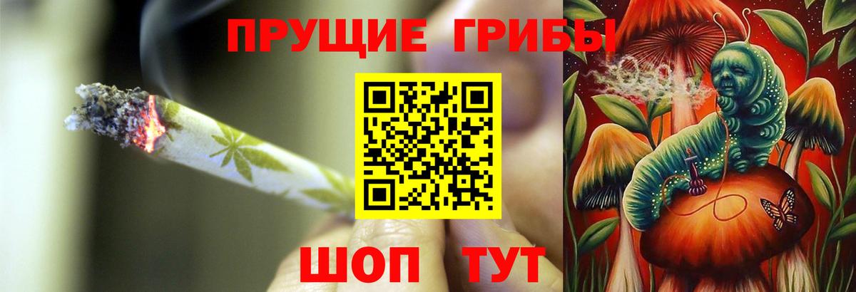 Псилоцибиновые грибы GOLDEN TEACHER  Вход с VPN  где купить наркоту  Котовск  Галлюциногенные грибы Cubensis 
